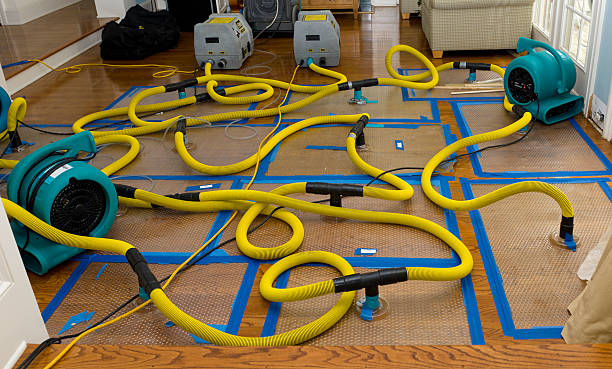 Professional Structural Drying And Dehumidification technician working in Parlier, CA